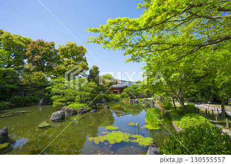 京都 城南宮の神苑 平安の庭の新緑 京都 城南宮の神苑 平安の庭の新緑 130555557