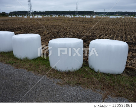 佐倉散策 130555861