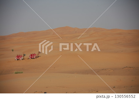 Camel cart in Rajasthan India Camel cart in Rajasthan India 130556552