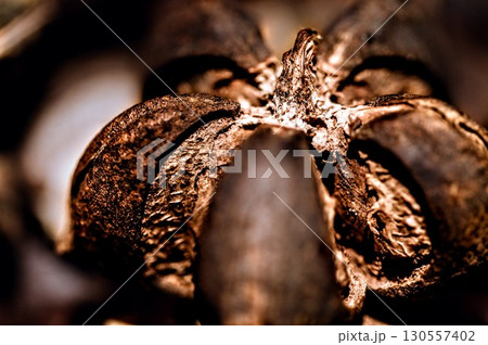 枯れたココナッツのクローズアップ 130557402