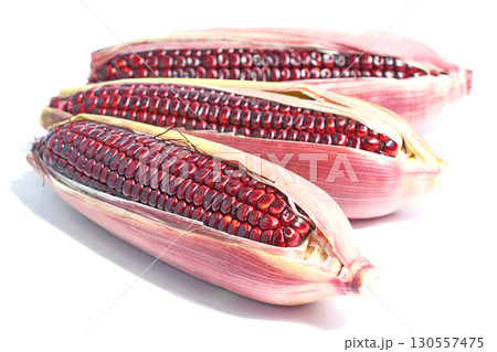 とうもろこし(大和ルージュ) とうもろこし(大和ルージュ) 130557475