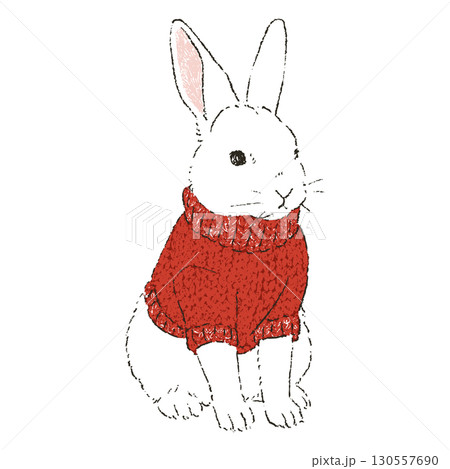 赤いニットを着た白いウサギ 130557690