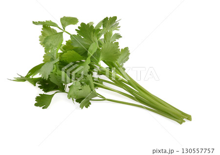 celery, parsley bunch on white background 130557757
