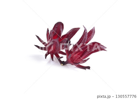 Hibiscus sabdariffa or roselle fruits isolated on white background. Hibiscus sabdariffa or roselle fruits isolated on white background. 130557776