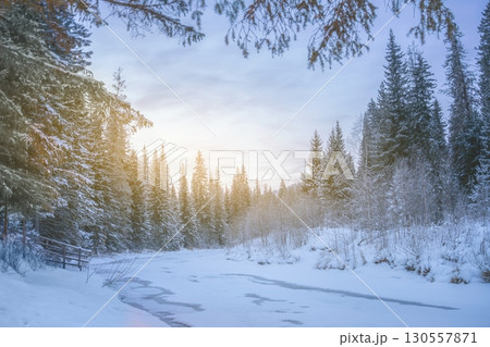 A frosty morning in winter in a natural landscape. Beautiful view of the frozen river in the forest surrounded by pines and fir trees. New Year and Christmas mood and atmosphere A frosty morning in winter in a natural landscape. Beautiful view of the frozen river in the forest surrounded by pines and fir trees. New Year and Christmas mood and atmosphere 130557871
