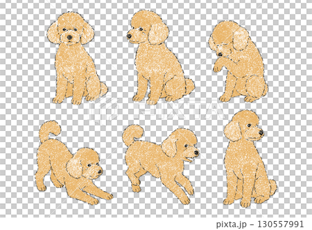 お座りするトイプードルのイラストセット 130557991