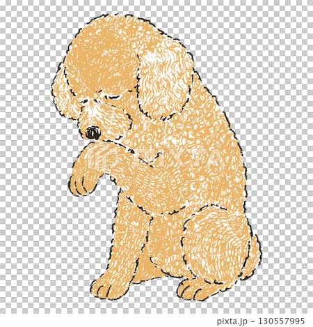 Illustration of a toy poodle sitting and grooming itself 130557995