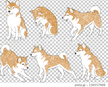 柴犬のシンプルなイラストセット 130557999