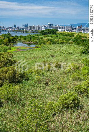 緑豊かな淀川河川敷風景 大阪市 緑豊かな淀川河川敷風景 大阪市 130558779