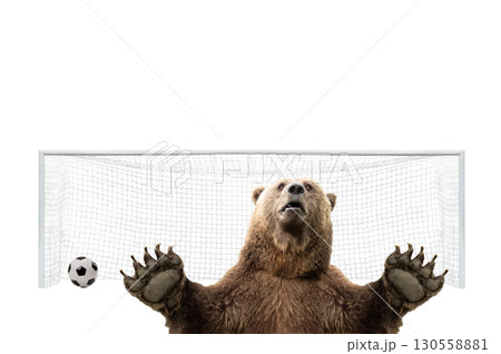 Bear standing on goal as a symbol of bad goalkeeper in football on white background 130558881