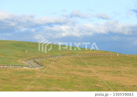 長野県　美ヶ原高原 130559083
