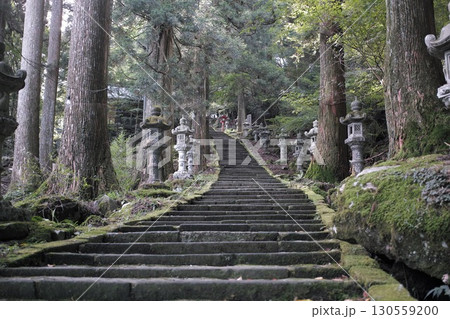高住神社の参道 高住神社の参道 130559200