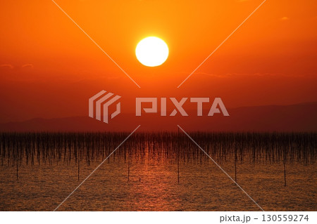 大牟田市　有明海　海苔畑、 130559274