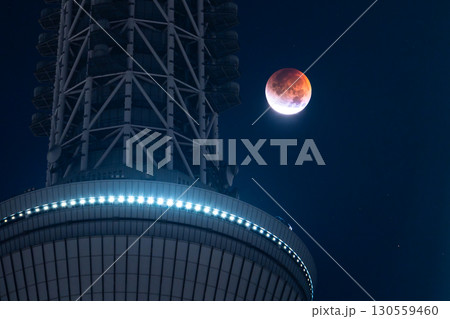 《東京都》皆既月食とスカイツリー・2025年9月8日 130559460