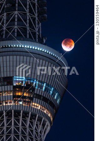 《東京都》皆既月食とスカイツリー・2025年9月8日 130559464