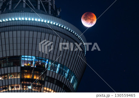 《東京都》皆既月食とスカイツリー・2025年9月8日 130559465
