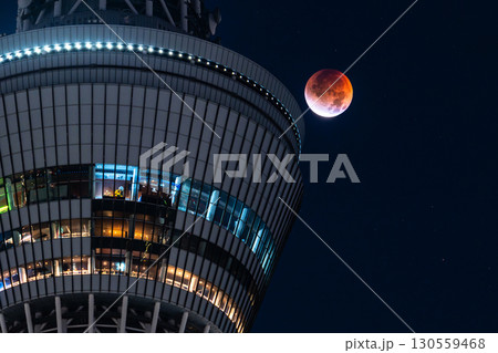 《東京都》皆既月食とスカイツリー・2025年9月8日 130559468