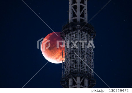 《東京都》皆既月食とスカイツリー・2025年9月8日 130559472