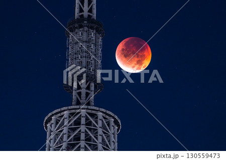 《東京都》皆既月食とスカイツリー・2025年9月8日 《東京都》皆既月食とスカイツリー・2025年9月8日 130559473