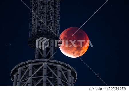 《東京都》皆既月食とスカイツリー・2025年9月8日 130559476