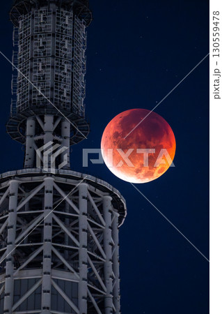 《東京都》皆既月食とスカイツリー・2025年9月8日 《東京都》皆既月食とスカイツリー・2025年9月8日 130559478