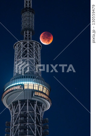 《東京都》皆既月食とスカイツリー・2025年9月8日 《東京都》皆既月食とスカイツリー・2025年9月8日 130559479