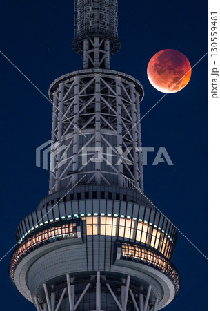 《東京都》皆既月食とスカイツリー・2025年9月8日 130559481