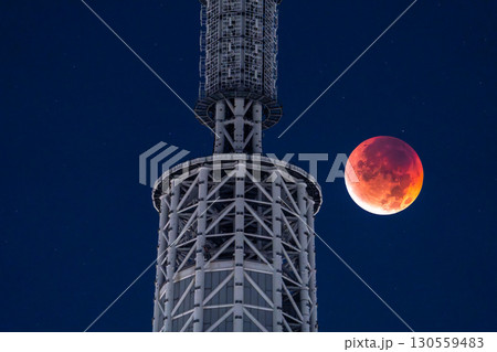 《東京都》皆既月食とスカイツリー・2025年9月8日 《東京都》皆既月食とスカイツリー・2025年9月8日 130559483