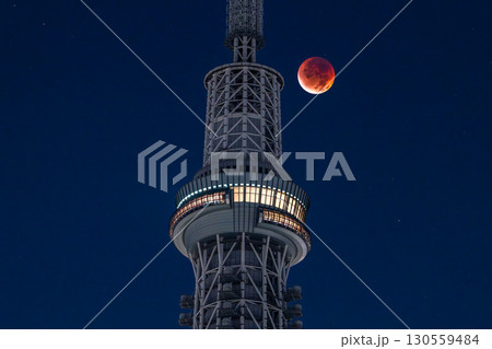 《東京都》皆既月食とスカイツリー・2025年9月8日 《東京都》皆既月食とスカイツリー・2025年9月8日 130559484