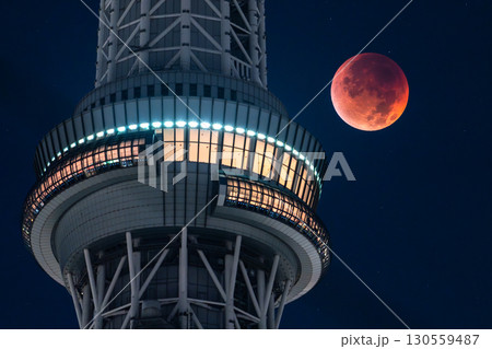 《東京都》皆既月食とスカイツリー・2025年9月8日 《東京都》皆既月食とスカイツリー・2025年9月8日 130559487
