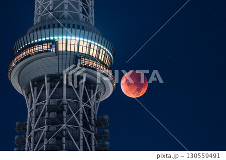 《東京都》皆既月食とスカイツリー・2025年9月8日 130559491