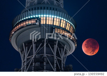 《東京都》皆既月食とスカイツリー・2025年9月8日 130559492