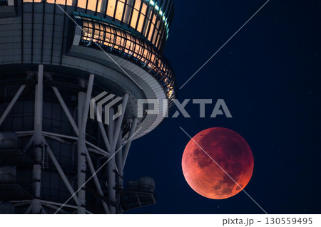 《東京都》皆既月食とスカイツリー・2025年9月8日 130559495