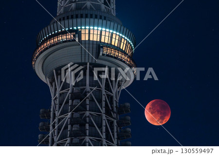 《東京都》皆既月食とスカイツリー・2025年9月8日 《東京都》皆既月食とスカイツリー・2025年9月8日 130559497