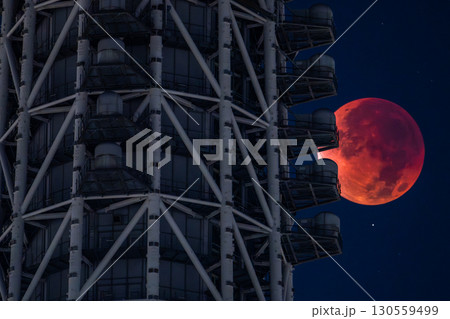 《東京都》皆既月食とスカイツリー・2025年9月8日 《東京都》皆既月食とスカイツリー・2025年9月8日 130559499