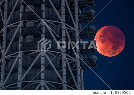 《東京都》皆既月食とスカイツリー・2025年9月8日 《東京都》皆既月食とスカイツリー・2025年9月8日 130559500