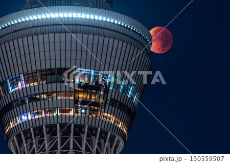 《東京都》皆既月食とスカイツリー・2025年9月8日 130559507
