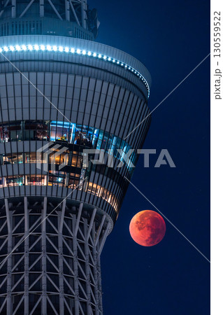 《東京都》皆既月食とスカイツリー・2025年9月8日 《東京都》皆既月食とスカイツリー・2025年9月8日 130559522