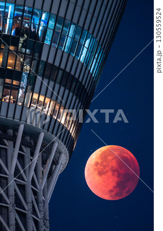 《東京都》皆既月食とスカイツリー・2025年9月8日 《東京都》皆既月食とスカイツリー・2025年9月8日 130559524
