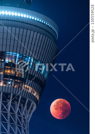 《東京都》皆既月食とスカイツリー・2025年9月8日 130559528