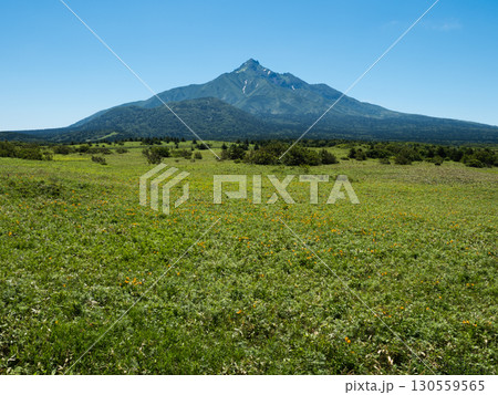 利尻岳と広大な草原の夏景色 利尻岳と広大な草原の夏景色 130559565