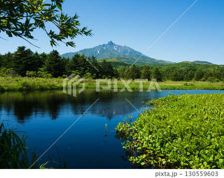 メヌウショロ沼から望む利尻山の夏景色 メヌウショロ沼から望む利尻山の夏景色 130559603