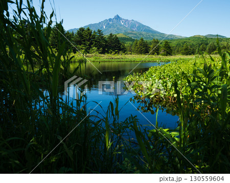メヌウショロ沼から望む利尻山の夏景色 メヌウショロ沼から望む利尻山の夏景色 130559604