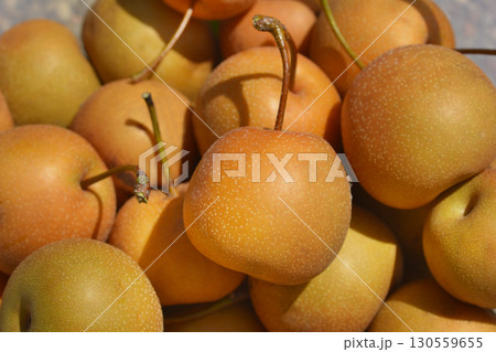 Freshly picked round Asian pears 130559655