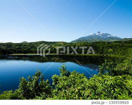 オタトマリ沼から望む利尻山の絶景 130559920