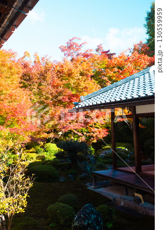 京都市 源光庵の紅葉 130559959