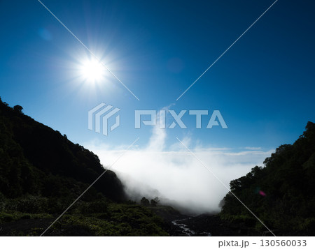 ヤムナイ沢から望む利尻山と雲海の絶景 130560033