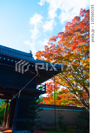 京都市 源光庵の紅葉 京都市 源光庵の紅葉 130560195