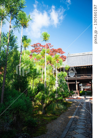 京都市 源光庵の紅葉 130560197