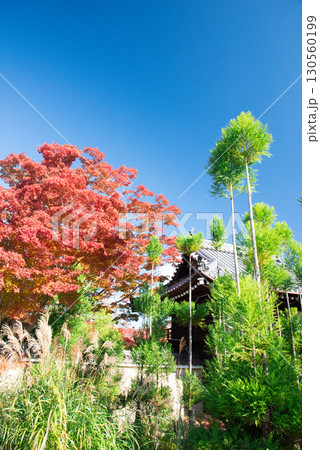 京都市 源光庵の紅葉 130560199